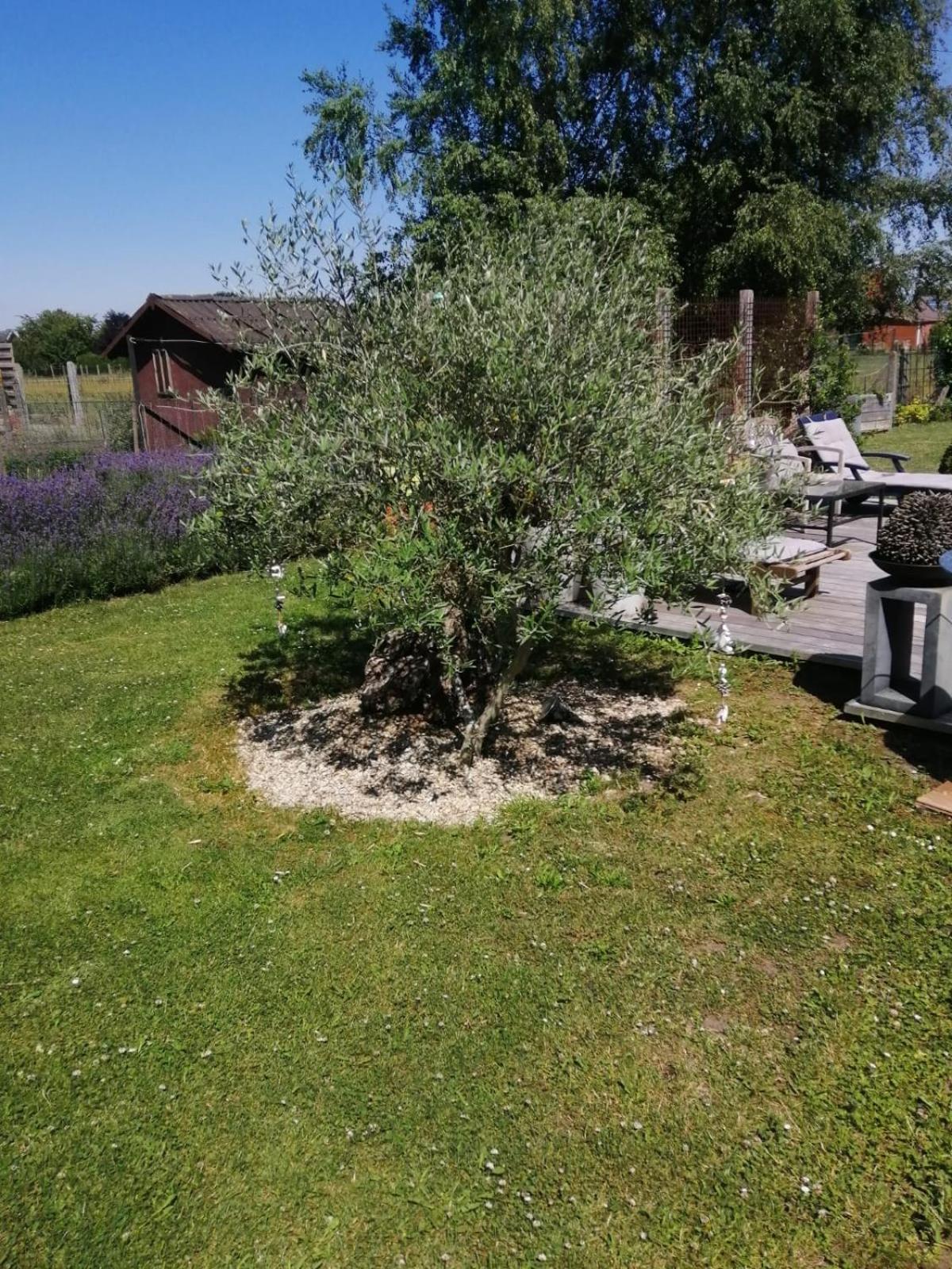 On Dirait Le Sud Hotel Chievres Ngoại thất bức ảnh